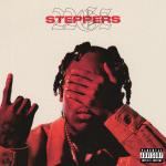 22_Steppers