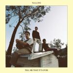 Wallows Tell Me That Its Over art