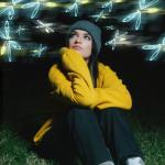 Sara Kays - Fireflies Art