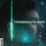 Whatever You Want Artwork