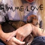 Sia - Gimme Love Art